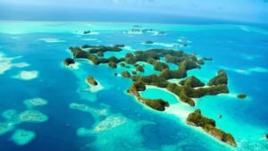 Read more about the article What is the Passport Pledge initiative introduced by Palau? – Firstpost