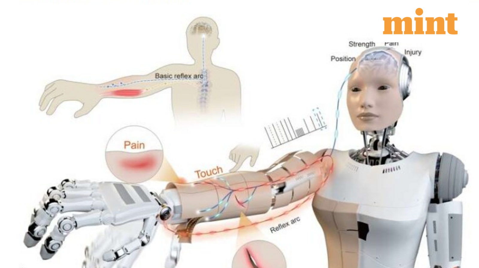 Researchers in Hong Kong have taken a significant step towards safer and more responsive humanoid robots by developing an electronic skin that can feel touch and react to pain in a human-like way.