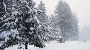 Read more about the article 6 skiers trapped after avalanche in California as rescuers battle severe storm – Firstpost