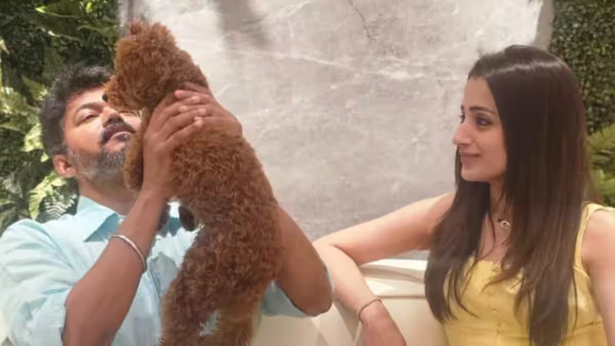 Is Thalapathy Vijay dating Trisha Krishnan? When actress' birthday wish for the actor sparked rumours amid his divorce – Firstpost