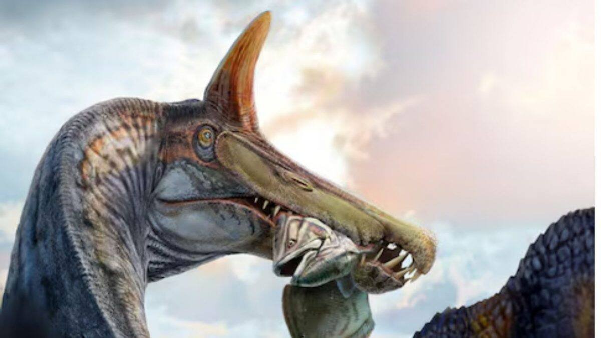 ‘Hell Heron’ ruled Africa 95 million years ago – Firstpost