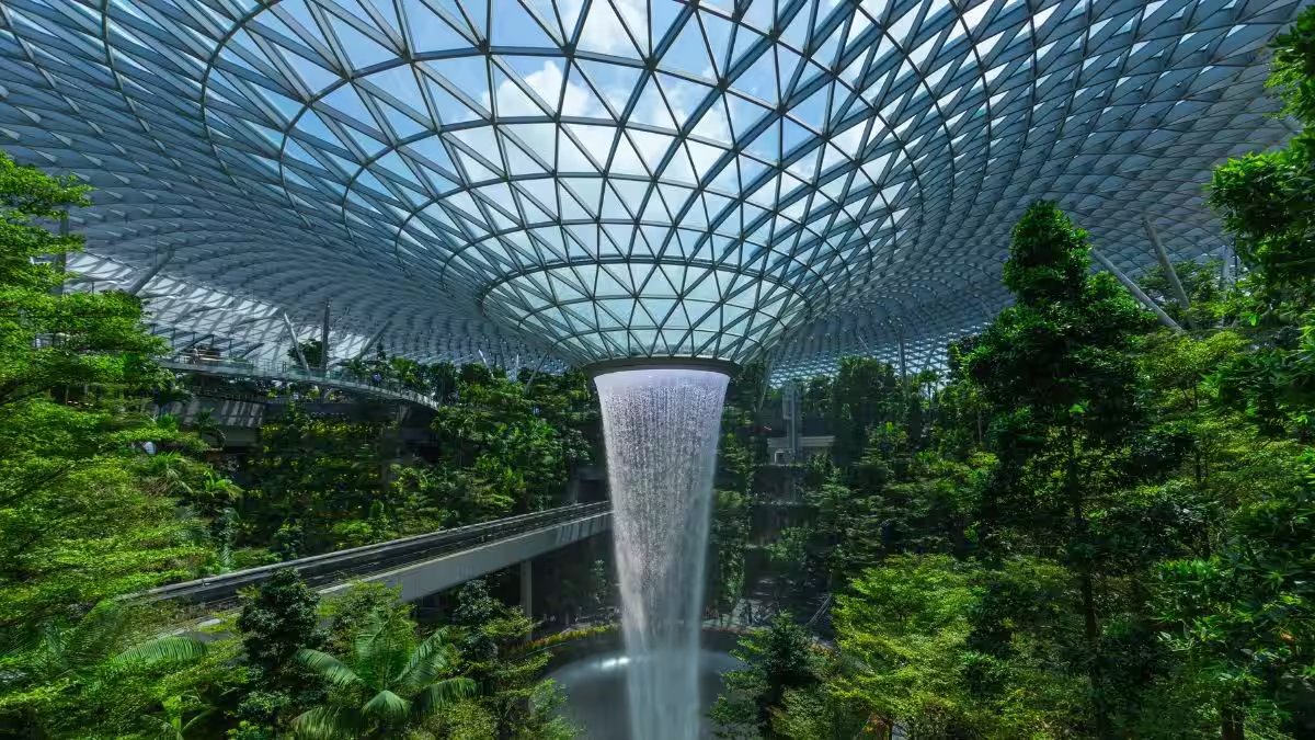 What is Singapore's 'No-Boarding Directive'? Double-check your documents before planning a trip – Firstpost