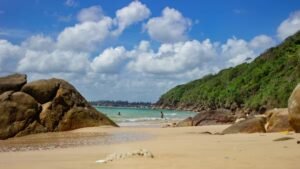 Read more about the article What is this growing trend and countries that are already acing it – Firstpost