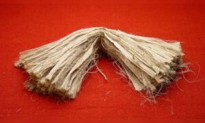 Cabinet approves 5% hike in raw jute MSP to ₹5,925 per 100 kg for 2026-27